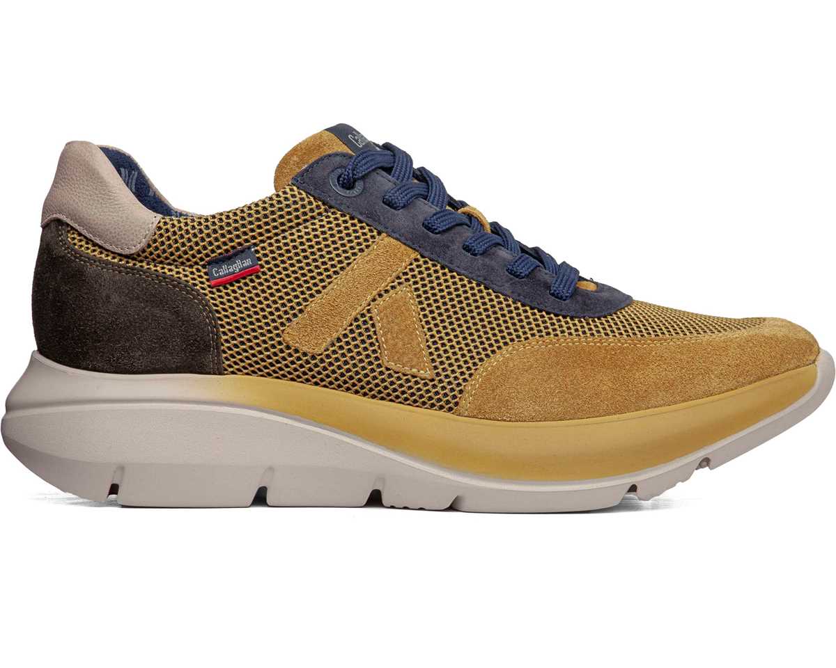 Depor Algoritmo Curry - CALLAGHAN